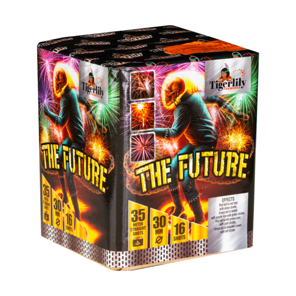 The Future-pata