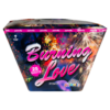 burning-love pata