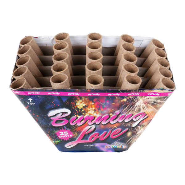 Burning Love - Image 2