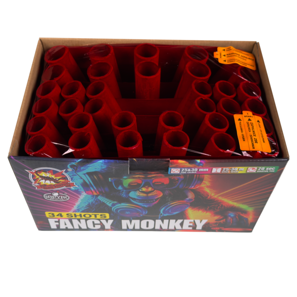 Fancy Monkey - Image 2