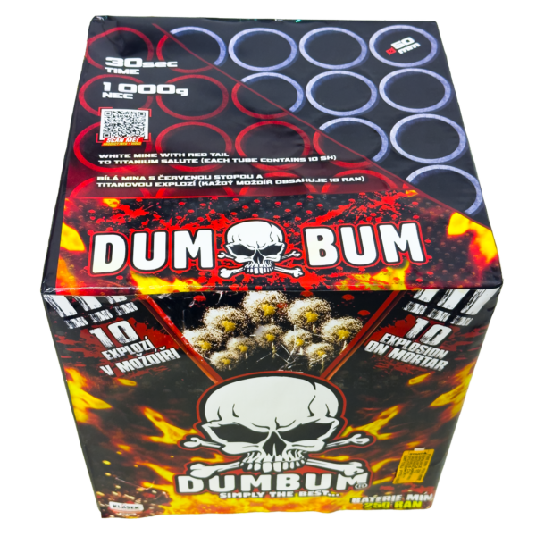 Dumbum 250 -pata, kuva 2