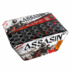 Assasin Air show -pata