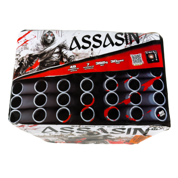 Assasin Air show -pata, kuva 2