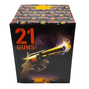 21 Guns